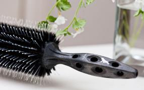 YS CARBON TIGER 680 BRUSH